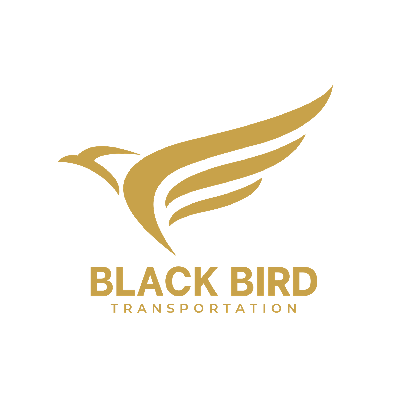 Black Bird Transportation