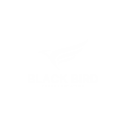 black bird fast delivery logo (9)